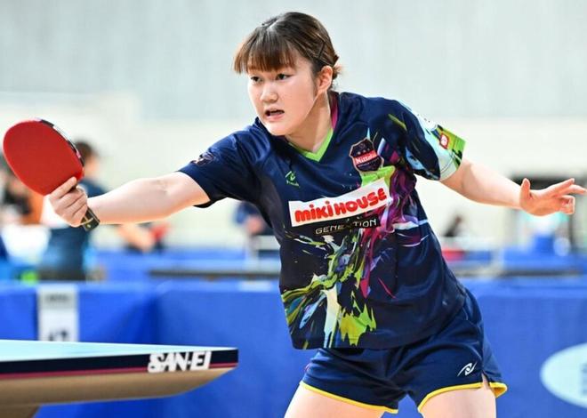 这为今年的 这为今年的