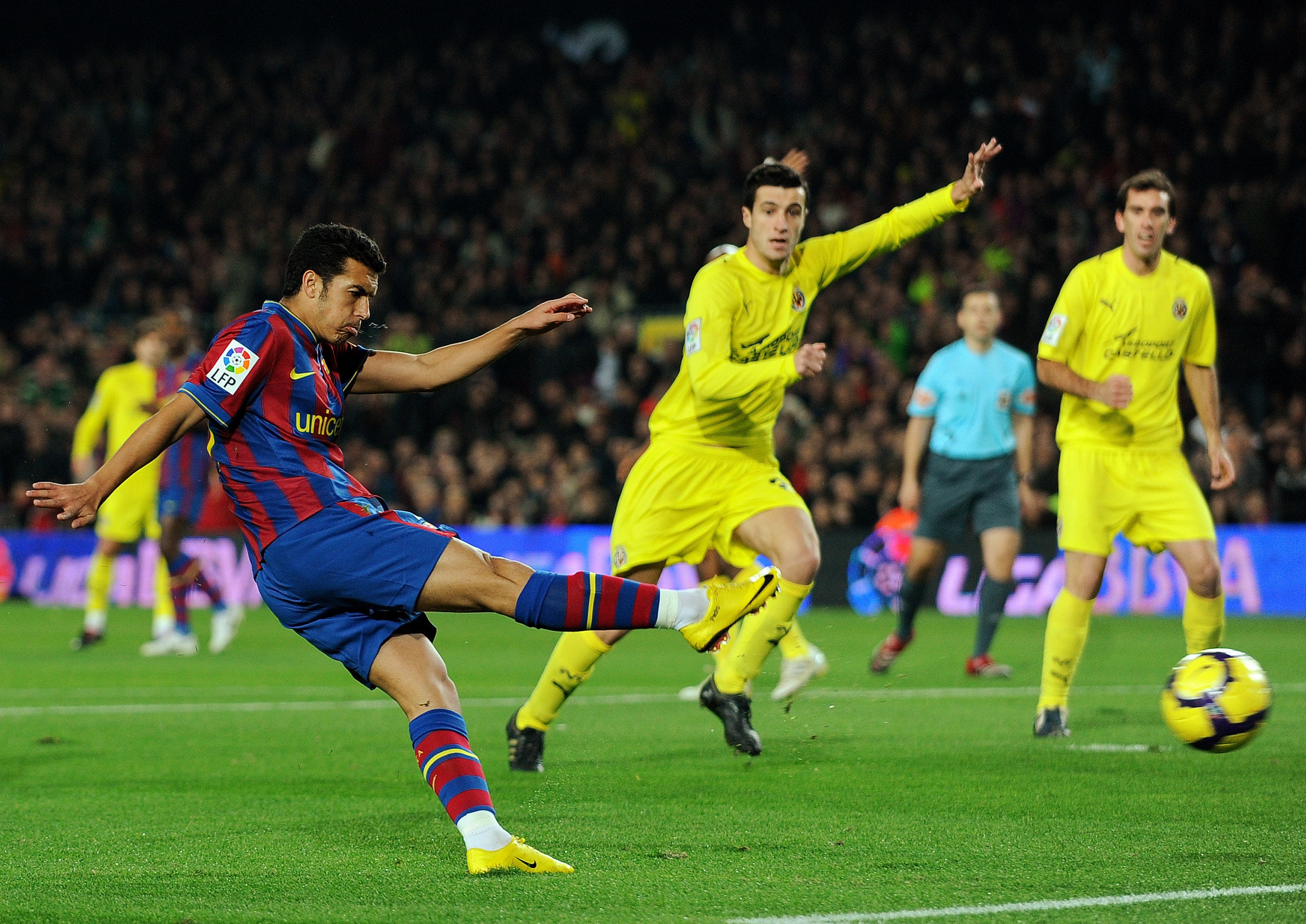 了坚实的后 了坚实的后