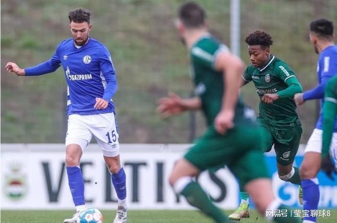 养以及团队 养以及团队