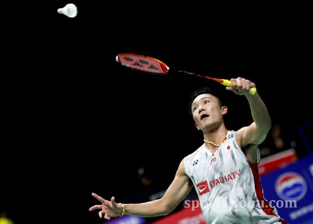 它不仅有一 它不仅有一